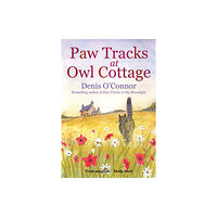 Little, Brown Book Group Paw Tracks at Owl Cottage (häftad, eng)