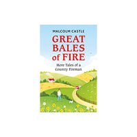 Orion Publishing Co Great Bales of Fire (häftad, eng)