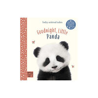 Magic Cat Publishing Goodnight, Little Panda (inbunden, eng)