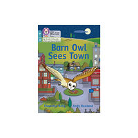HarperCollins Publishers Barn Owl Sees Town (häftad, eng)