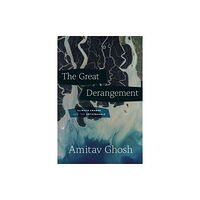 The university of chicago press The Great Derangement (häftad, eng)