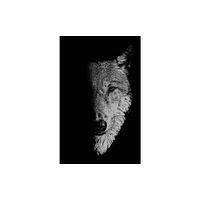 Manchester university press In the Company of Wolves (häftad, eng)