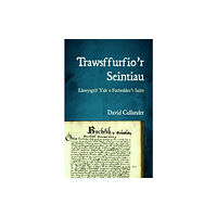 University of wales press Trawsffurfio’r Seintiau (häftad, wel)