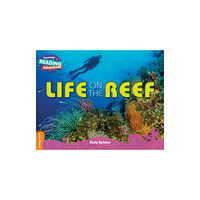 Cambridge University Press Cambridge Reading Adventures Life on the Reef Orange Band (häftad, eng)