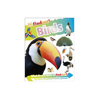 Dorling Kindersley Ltd DKfindout! Birds (häftad, eng)