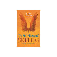 Hachette Children's Group Skellig (häftad, eng)