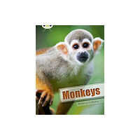 Pearson Education Limited Bug Club Guided Non Fiction Year 3 White A Monkeys (häftad, eng)