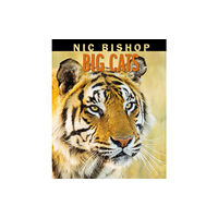 Scholastic Inc. Nic Bishop Big Cats (inbunden, eng)