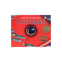 Houghton Mifflin Flotsam (inbunden, eng)