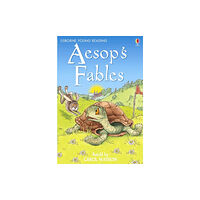 Usborne Publishing Ltd Aesop's Fables (inbunden, eng)