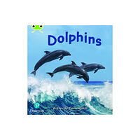 Pearson Education Limited Bug Club Phonics - Phase 5 Unit 13: Dolphins (häftad, eng)