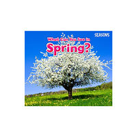 Capstone Global Library Ltd What Can You See In Spring? (häftad, eng)