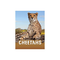 Capstone Global Library Ltd Cheetahs (häftad, eng)