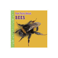 Capstone Global Library Ltd Fast Facts About Bees (häftad, eng)