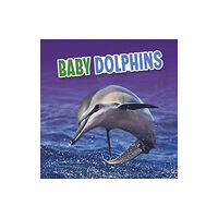 Capstone Global Library Ltd Baby Dolphins (inbunden, eng)