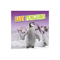 Capstone Global Library Ltd Baby Penguins (inbunden, eng)