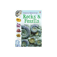 Usborne Publishing Ltd Rocks and Fossils (häftad, eng)