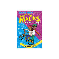 Hachette Children's Group Meet the Maliks – Twin Detectives: Race to the Rescue (häftad, eng)