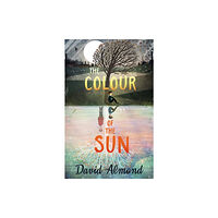 Hachette Children's Group The Colour of the Sun (häftad, eng)