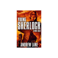 Pan Macmillan Stone Cold (häftad, eng)