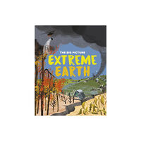 Hachette Children's Group The Big Picture: Extreme Earth (häftad, eng)