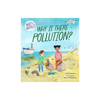 Hachette Children's Group Why in the World: Why is there Pollution? (inbunden, eng)