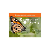 Union Square & Co. Caterpillar to Butterfly (bok, board book, eng)