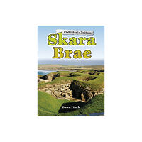 Capstone Global Library Ltd Skara Brae (häftad, eng)