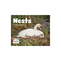 Capstone Global Library Ltd Nests (häftad, eng)