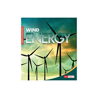 Capstone Global Library Ltd Wind Energy (häftad, eng)