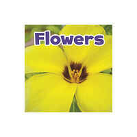 Capstone Global Library Ltd Flowers (häftad, eng)