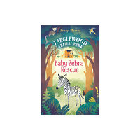 Usborne Publishing Ltd Baby Zebra Rescue (häftad, eng)