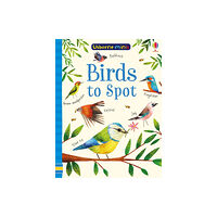 Usborne Publishing Ltd Birds to Spot (häftad, eng)