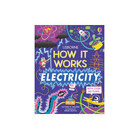 Usborne Publishing Ltd How It Works: Electricity (bok, board book, eng)