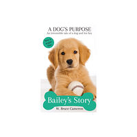 Pan Macmillan Bailey's Story (häftad, eng)