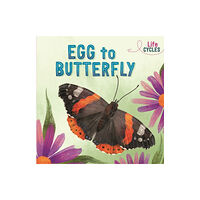 Hachette Children's Group Life Cycles: Egg to Butterfly (häftad, eng)