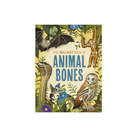 Hachette Children's Group The Brilliant Book of Animal Bones (häftad, eng)
