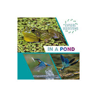 Hachette Children's Group Explore Ecosystems: In a Pond (inbunden, eng)