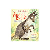 Walker Books Ltd Find Out About ... Animal Babies (häftad, eng)