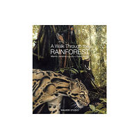 Walker Books Ltd A Walk Through the Rainforest (häftad, eng)