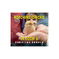 Charlesbridge Publishing,U.S. Hatching Chicks in Room 6 (häftad, eng)