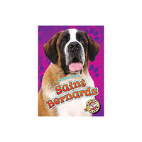 Bellwether Media Saint Bernards (inbunden, eng)