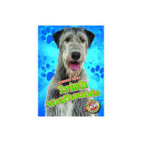 Bellwether Media Irish Wolfhounds Irish Wolfhounds (inbunden, eng)