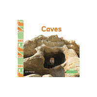 North Star Editions Animal Homes: Caves (häftad, eng)