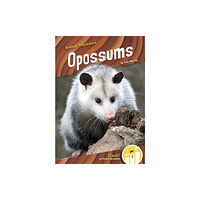 North Star Editions Animal Pranksters: Oppossums (häftad, eng)