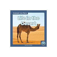 North Star Editions Animals Live Here: Life in the Desert (häftad, eng)