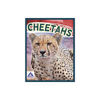 North Star Editions Wild Cats: Cheetahs (häftad, eng)