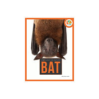 Creative Company,US Spotlight on Nature: Bat (häftad, eng)