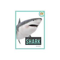 Creative Company,US Spotlight on Nature: Shark (häftad, eng)