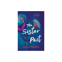 Sourcebooks, Inc The Sister Pact (häftad, eng)